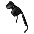 Global Translation Glasses