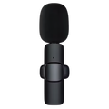 Dual Noise Cancellation Mic
