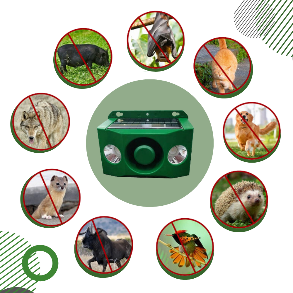 Solar Motion-Activated Animal Repellent